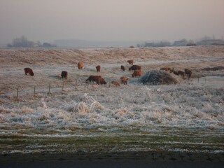 Casa per le vacanze Veere Ambiente 29