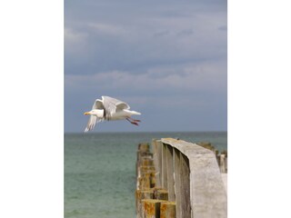 Fischerbrücke am Strand