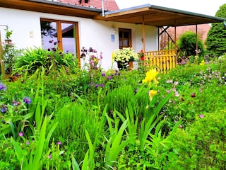 Blick vom Blumengarten auf die Terrasse