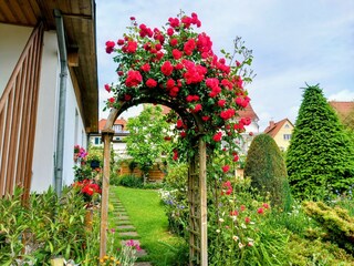 Ferienhaus Meißen Außenaufnahme 14