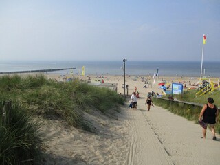 Ferienhaus Egmond aan Zee Umgebung 21