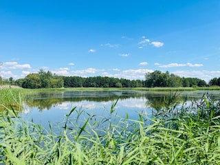 die Spreeaue
