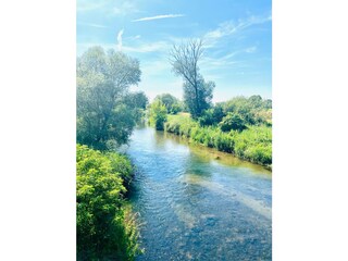 die Spree