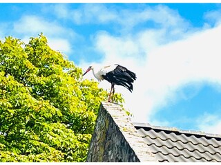 Ortsbild