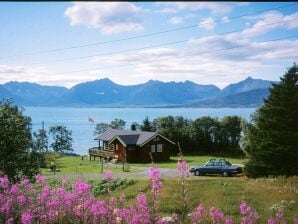 6 Personen Ferienhaus in BORKENES-By Traum - Borkenes - image1