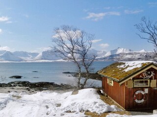Ferienhaus Borkenes  27