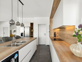 Villa Brtonigla Caratteristiche 19