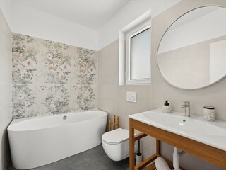 Villa Brtonigla Caratteristiche 34