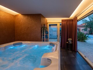 Villa Tinjan Caratteristiche 31