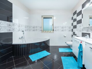 Villa Tinjan Caratteristiche 21