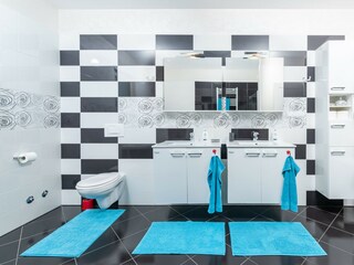 Villa Tinjan Caratteristiche 22