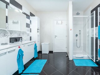 Villa Tinjan Características 23
