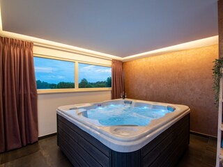 Villa Tinjan Caratteristiche 32