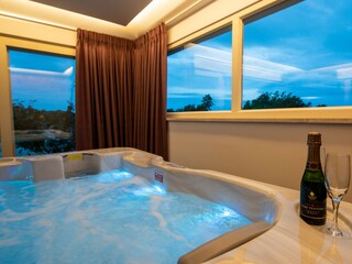 Villa Tinjan Caratteristiche 33