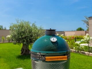 Villa Labinci Registrazione all'aperto 6