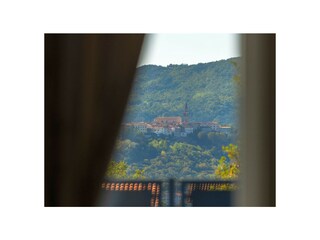 Villa Buzet Entorno 24