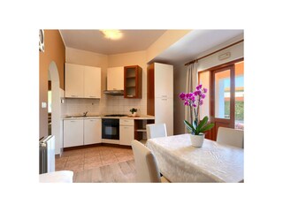 Villa Vižinada Caratteristiche 20