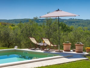 Beautiful Villa Cartolina with pool in Buje