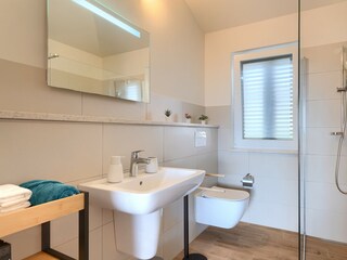 Villa Brtonigla Caratteristiche 38