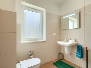 Villa Brtonigla Caratteristiche 43