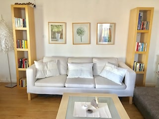 The living room with pull-out couch is suitable for two people