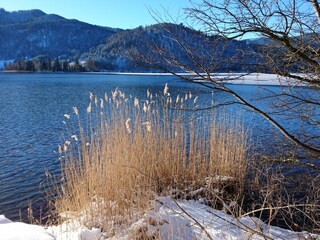 Apartment Schliersee Umgebung 18