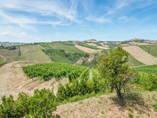 Appartement Acquaviva Picena Omgeving 33