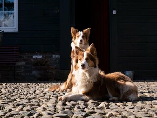 Apartment Eijsden  36