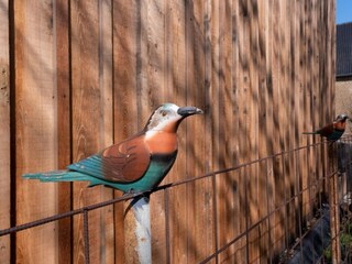 Appartement Eijsden  39