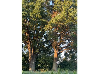 Appartamento per vacanze Zinnowitz Ambiente 19