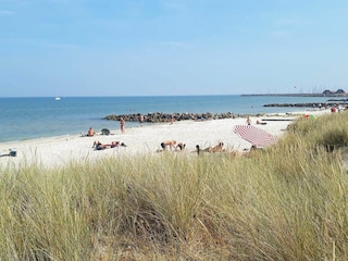 Parque de vacaciones Sæby  6