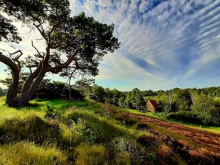 Casa per le vacanze Vejby Strand  30