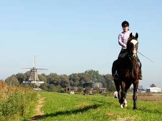 Casa per le vacanze Callantsoog Ambiente 16