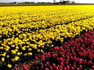 Casa per le vacanze Callantsoog Ambiente 17