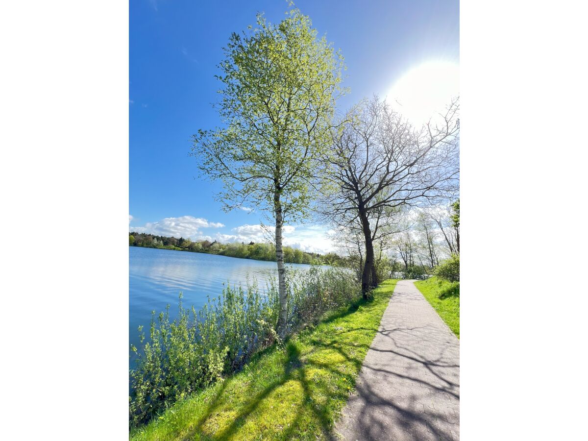 Rundweg am Tannenhäuser See