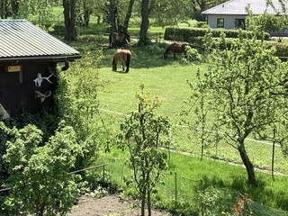 Blick von der Hochterrasse