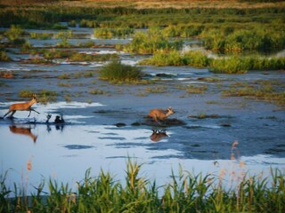 Apartment Warrenzin Umgebung 31