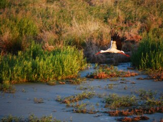 Appartement Warrenzin Environnement 32