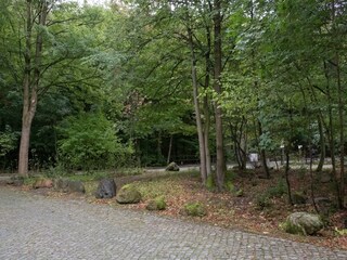 Apartamento Ilsenburg Entorno 24