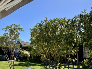 Villa Dieppe Caratteristiche 3