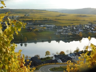 Blick auf die Mosel bei Piesport