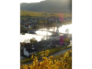 Blick auf die Mosel bei Piesport