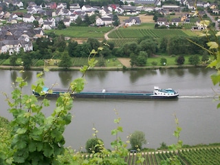 Blick auf die Mosel bei Piesport