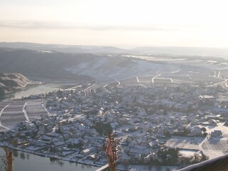 Casa per le vacanze Neumagen-Dhron Registrazione all'aperto 9