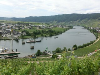 Casa per le vacanze Neumagen-Dhron Ambiente 38