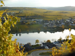 Blick aus unserer bekannten Weinlage -Goldtröpfchen-