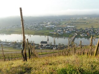 Casa per le vacanze Neumagen-Dhron Ambiente 30