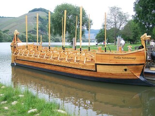 Casa per le vacanze Neumagen-Dhron Ambiente 35