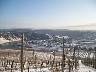 Winter an der Mosel