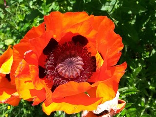 Appartamento Schenna Ambiente 22